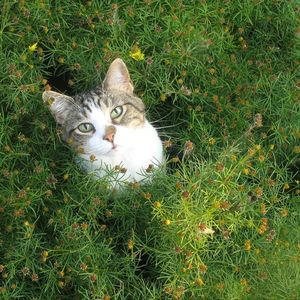 Meet your Posher, Pamela